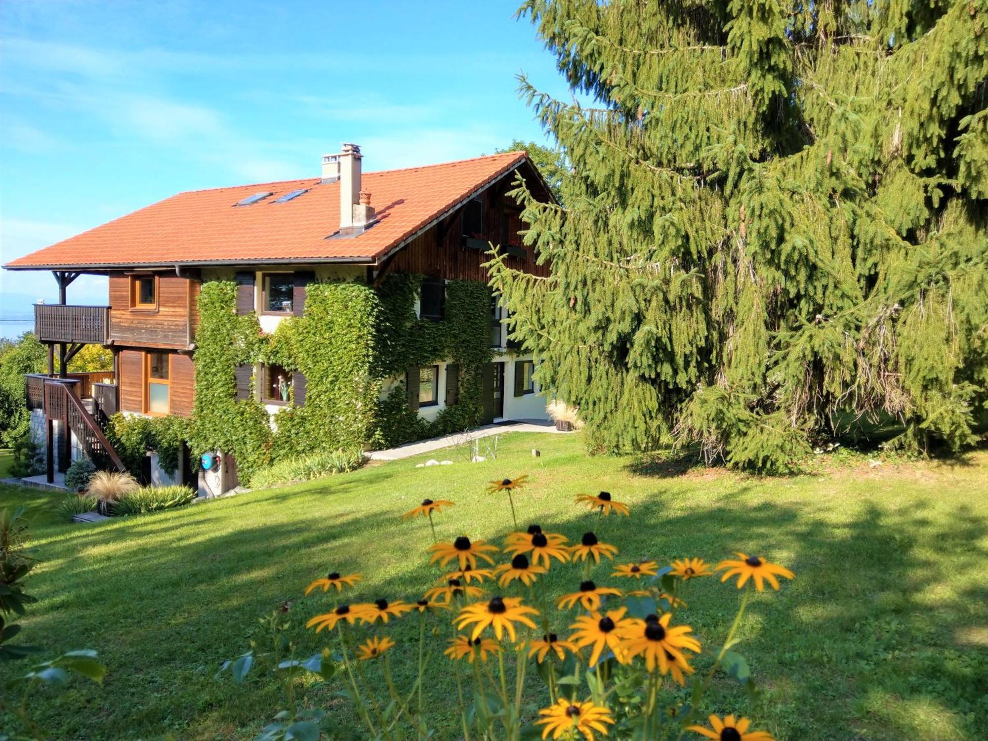 Bed and Breakfast Domaine De L'Olifant Champanges Екстер'єр фото