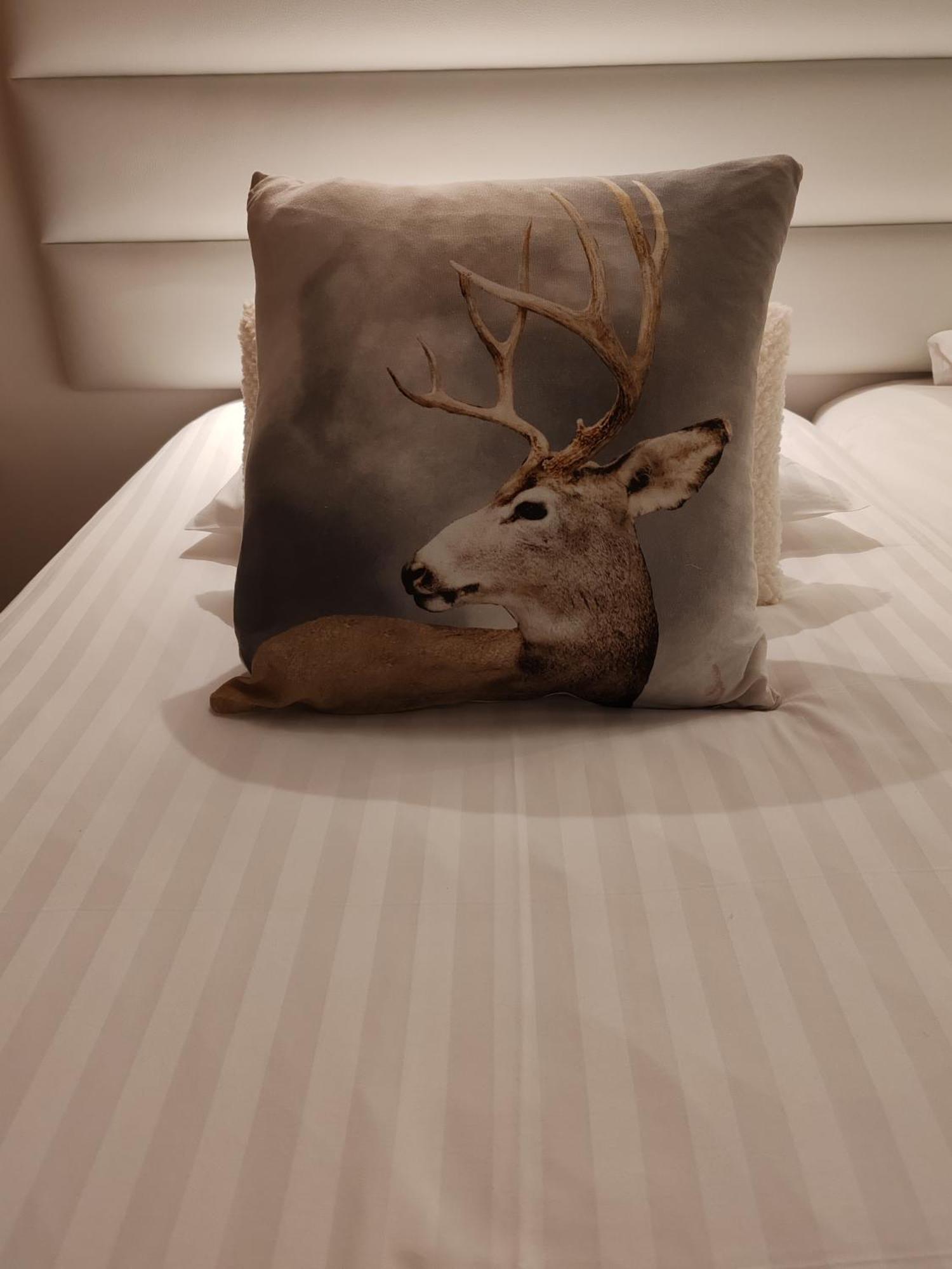 Bed and Breakfast Domaine De L'Olifant Champanges Номер фото
