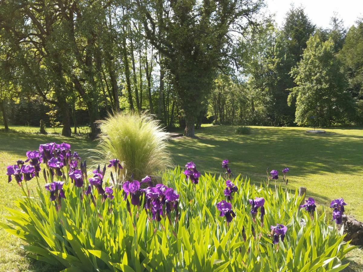 Bed and Breakfast Domaine De L'Olifant Champanges Екстер'єр фото